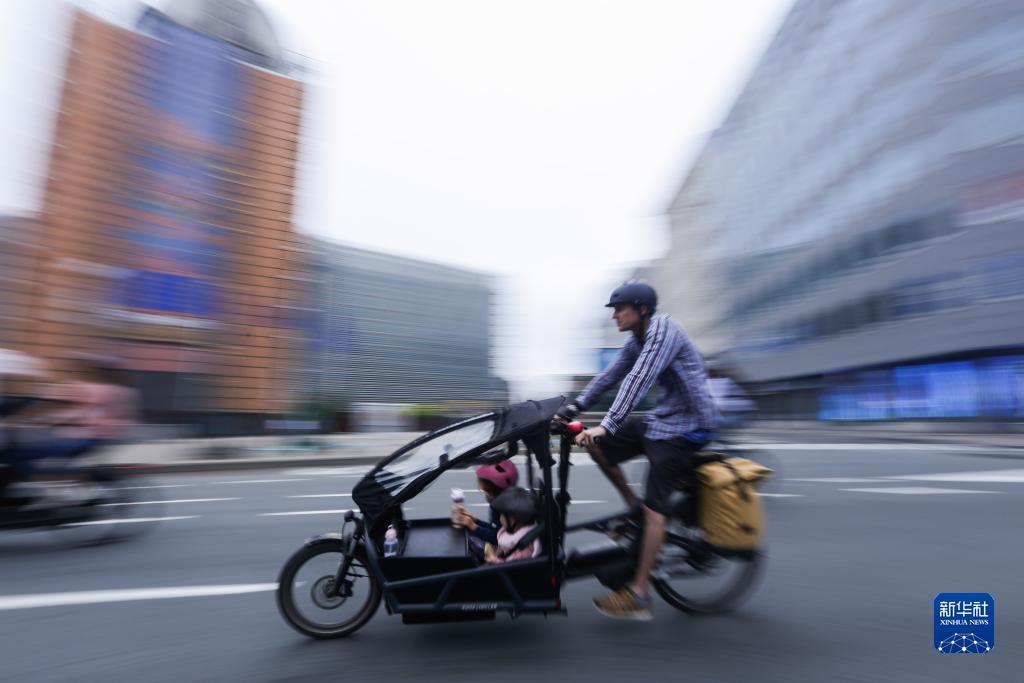 大金步步为赢